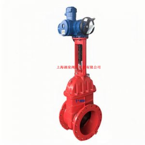 Z943F/W/Y-16 DN80油田專用電動(dòng)平板閘閥